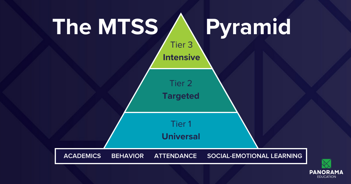 What Is MTSS?